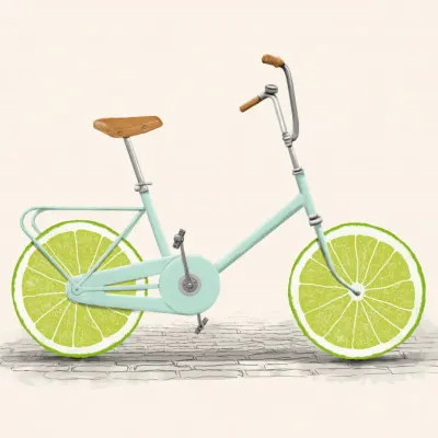 Lime Wheel Bicycle, wall art by Florent Bodart