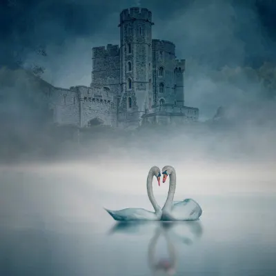 Love Swans Castle, wall art by Jiahong Zeng