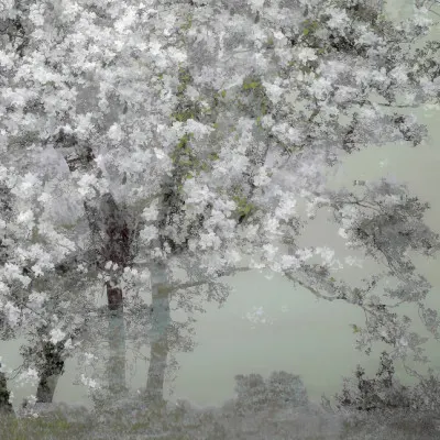 Spring, wall art by Nel Talen