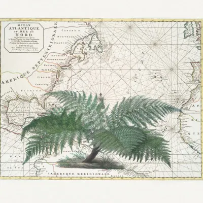 Vintage Map Fern Botanical, wall art by Andrea Haase
