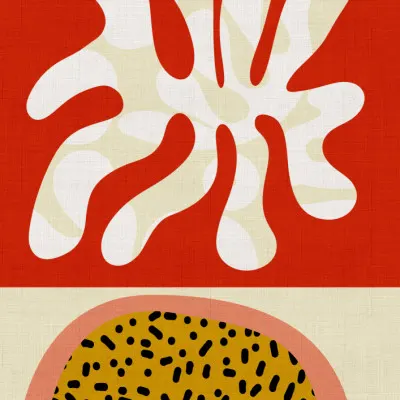 Mid Century Cut Outs, wall art by Ana Rut Bre