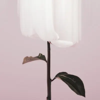 Ethereal White Bloom, wall art by Pictufy Studio III