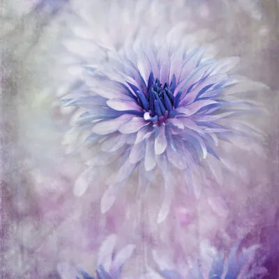 Dreamy Blue Flowers, wall art by Jacky Parker