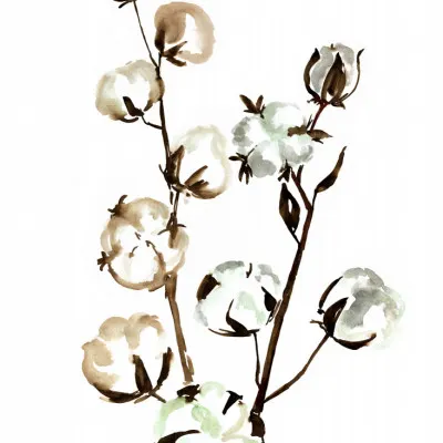 Fluffy Cotton Branches, wall art by Rosana Laiz Blursbyai