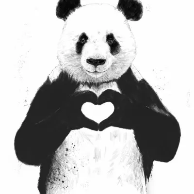 Panda Heart Hands, wall art by Balazs Solti
