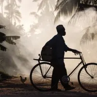 Tropical Morning Journey, wall art by Dan Mirica