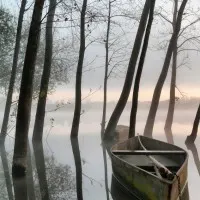 Misty Lake Boat, wall art by Rui David