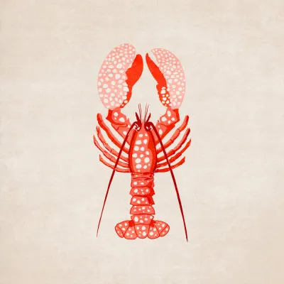 Spotted Lobster Elegance, wall art by Emel Tunaboylu