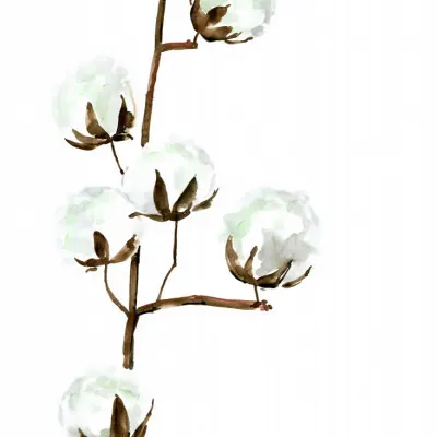 Delicate Cotton Branches, wall art by Rosana Laiz Blursbyai