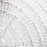 White Abstract Texture, wall art by Pictufy Studio III