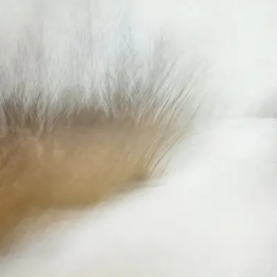Wintertime, wall art by Nel Talen