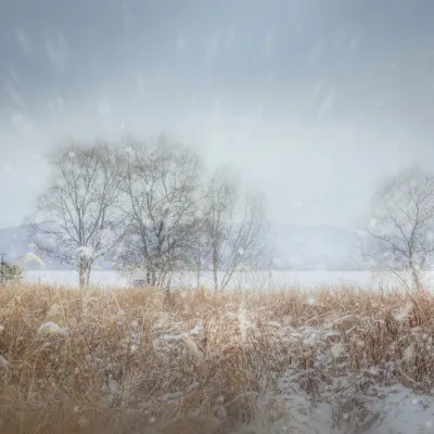 Snowy Field Serenity, wall art by YoungIl Kim