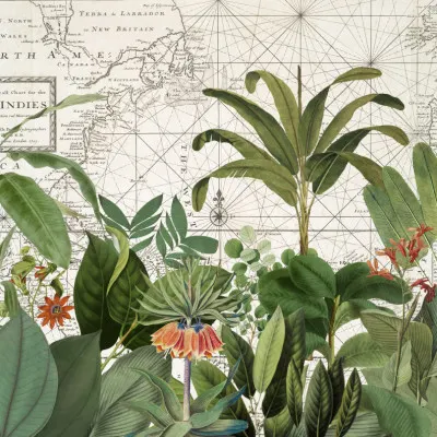 Tropical Map Explorations, wall art by Andrea Haase