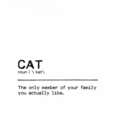 Funny Cat Definition, wall art by Orara Studio