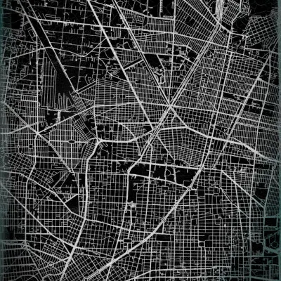 Mexico City Street Grid, wall art by StudioSix