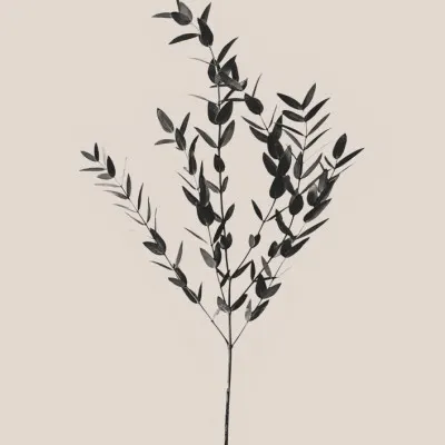 Inky Botanical, wall art by Kathrin Pienaar