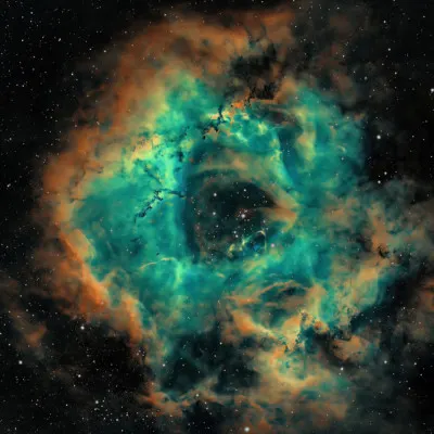Cosmic Nebula Bloom, wall art by TaranSohal
