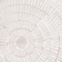 White Ripple Swirl, wall art by Pictufy Studio III