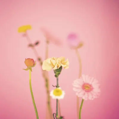 Soft Pastel Flowers, wall art by Julia Ramiro