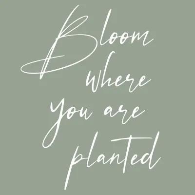 Bloom Where Planted, wall art by KsanaKalpa