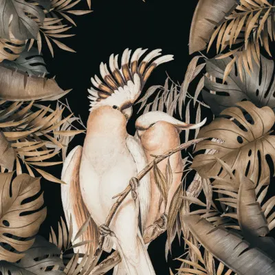 Loving Cockatoo Pair, wall art by Andrea Haase