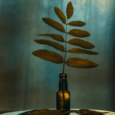 Dried Leaves Still Life, wall art by Nikki Georgieva V E G A N I K