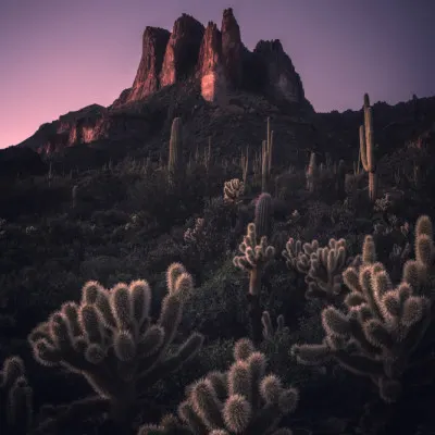 Desert Mountain Twilight, wall art by Willa Wei