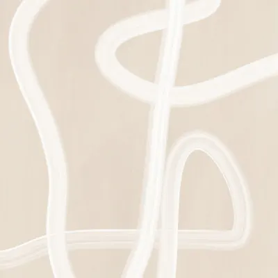 Flowing Abstract Lines, wall art by Elena Ristova