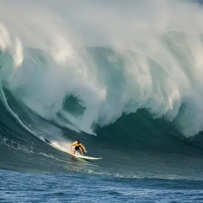 Surfer on Giant Wave, wall art by David H Yang