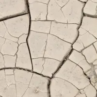 Cracked Earth Texture, wall art by Pictufy Studio III