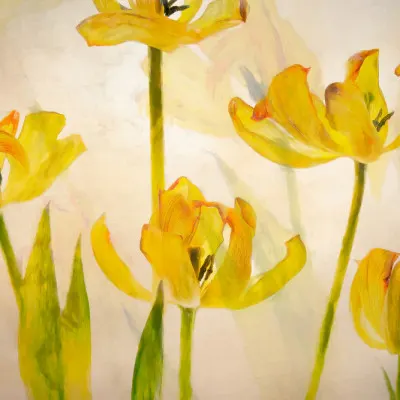 Flowering tulips, wall art by Nel Talen