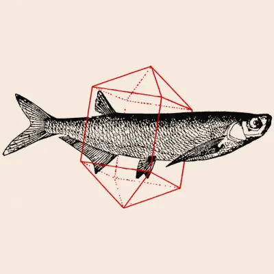 Fish Form Geometry, wall art by Florent Bodart