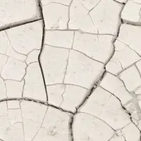 Cracked Earth Texture, wall art by Pictufy Studio III