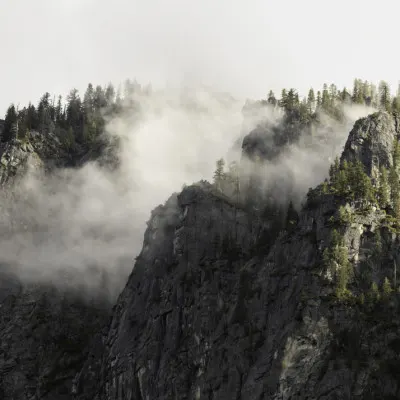 Misty Mountain Forest, wall art by Christian Lindgren
