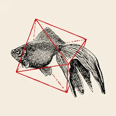 Geometric Goldfish Sketch, wall art by Florent Bodart