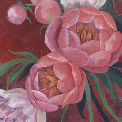 Elegant Pink Peonies, wall art by Rosana Laiz Blursbyai