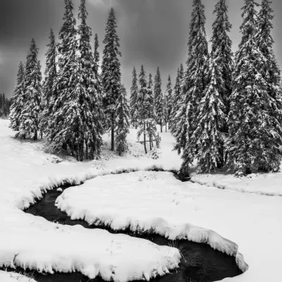 Snowy Forest Stream, wall art by Ovidiu Satmari