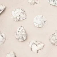 Coastal Sand Shells, wall art by Pictufy Studio III