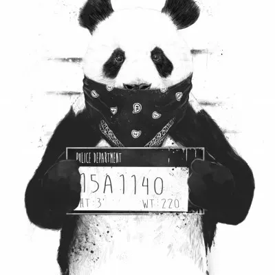 Gangster Panda Mugshot, wall art by Balazs Solti