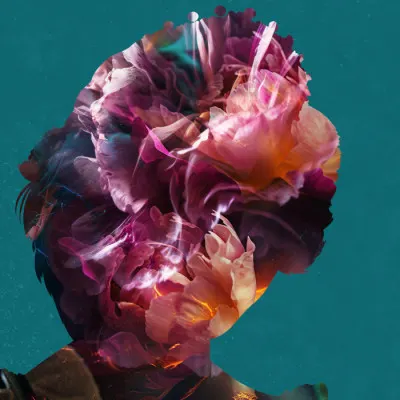 Dreamy Floral Silhouette, wall art by Sarah Manovski