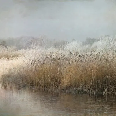 Wintermorning, wall art by Nel Talen