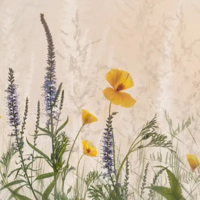 Nel Talen, wall art by Nel Talen