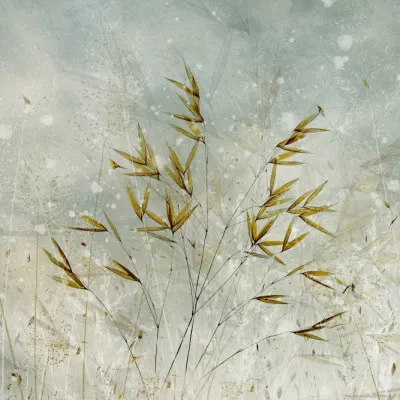 Wintertime, wall art by Nel Talen