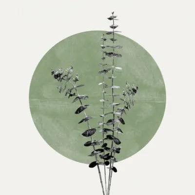 Nature's Echo, wall art by THE MIUUS STUDIO