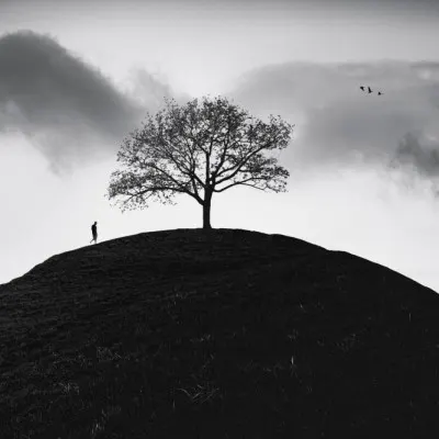 Lone Tree On Hill, wall art by Marchevca Bogdan