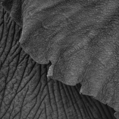 Wrinkles of Time, wall art by Shot by Clint