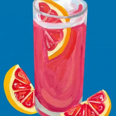 Pink Grapefruit Cocktail, wall art by Alice Straker