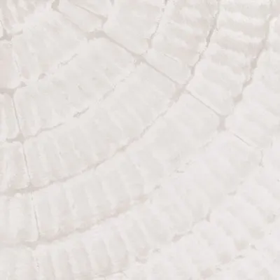 Soft Ripple Texture, wall art by Pictufy Studio III