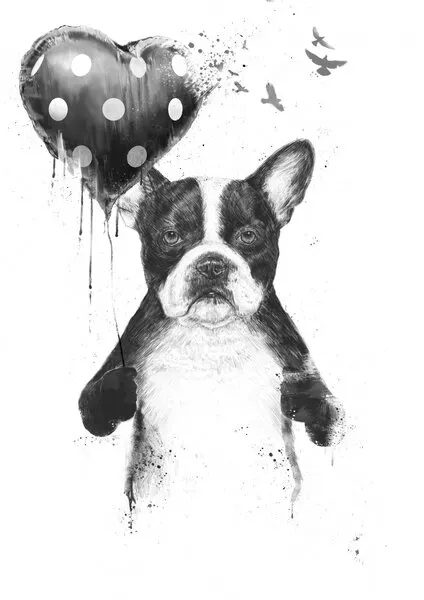 Adorable Boston Terrier Heart, wall art by Balazs Solti