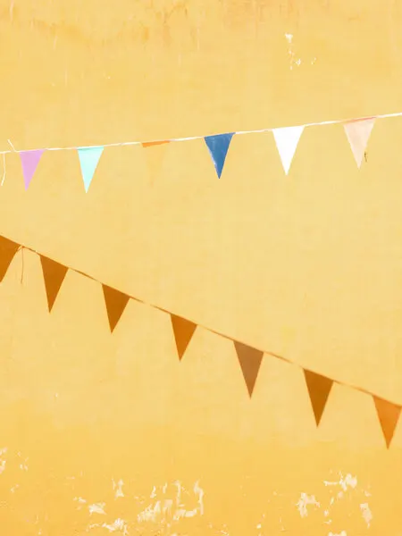 Mexican Flags, wall art by Raisa Zwart